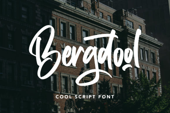Bergdool: The Modern Script Font for Elegant Design