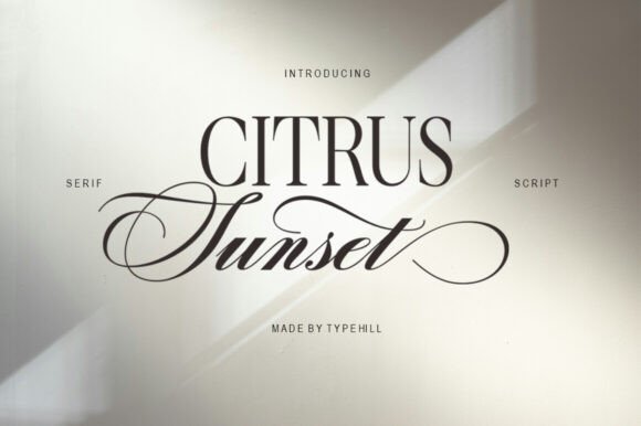 Citrus Sunset: A Dynamic Font Pairing for Modern Design