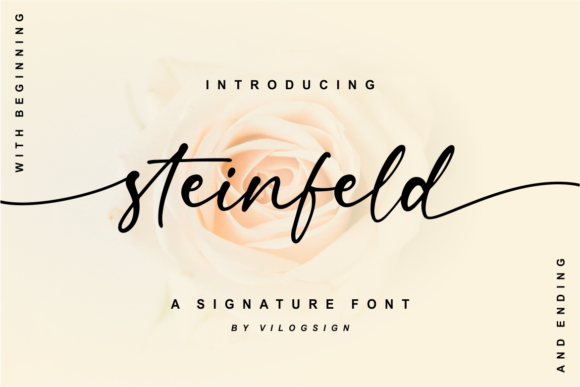 Steinfeld: The Elegant Script Font for Modern Design
