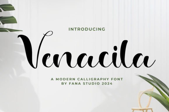 Venacila: Elevate Your Designs with Elegant Typography